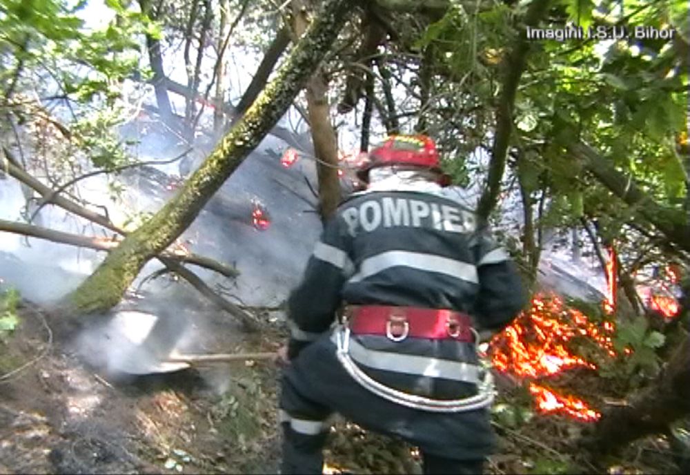 Incendiu de vegetație în Miercurea Ciuc