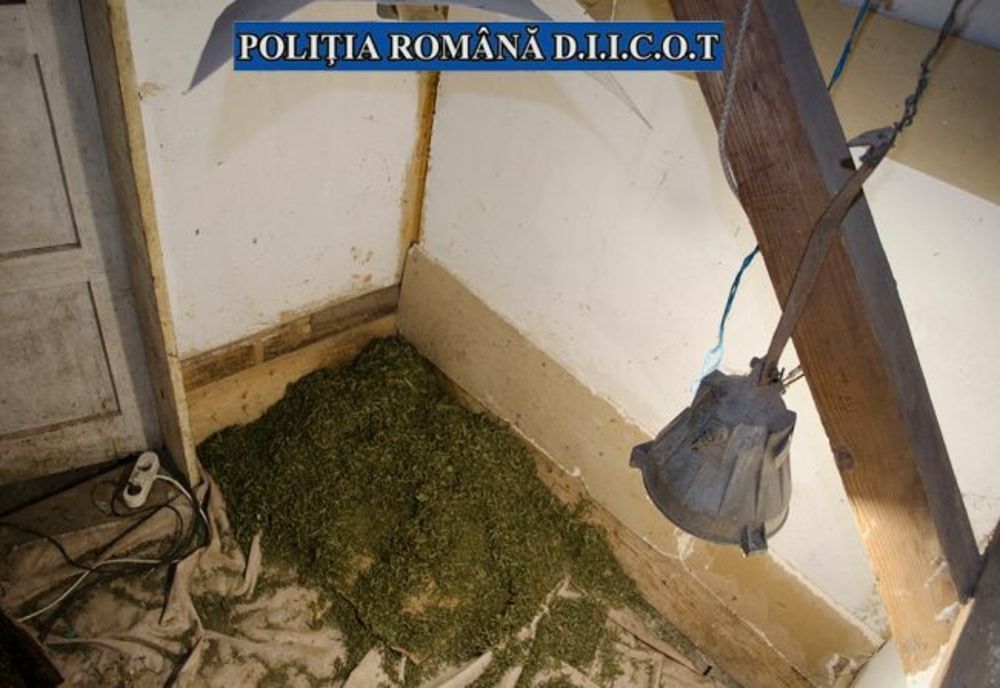 Arestat preventiv pentru trafic de droguri