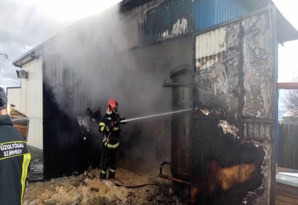 Incendiu la o firmă de prelucrare a lemnului