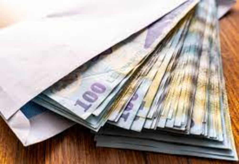 PNL conduce topul partidelor care cheltuie subvențiile pentru presă și propagandă