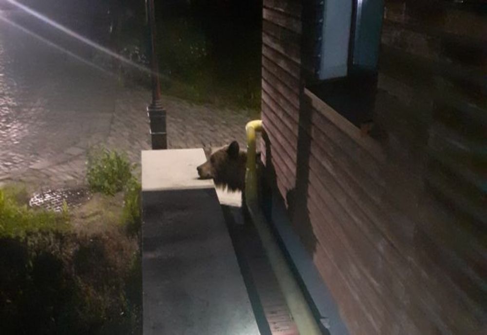 3 apeluri la 112 în ultimele 24 de ore