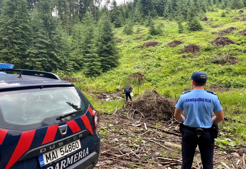 8 apeluri la 112 și tot atâtea intervenții la urs