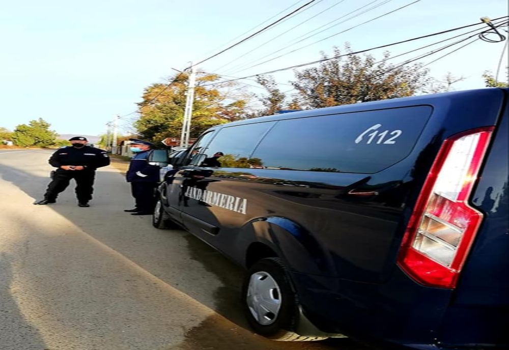 6 apeluri la 112 și tot atâtea intervenții la urs