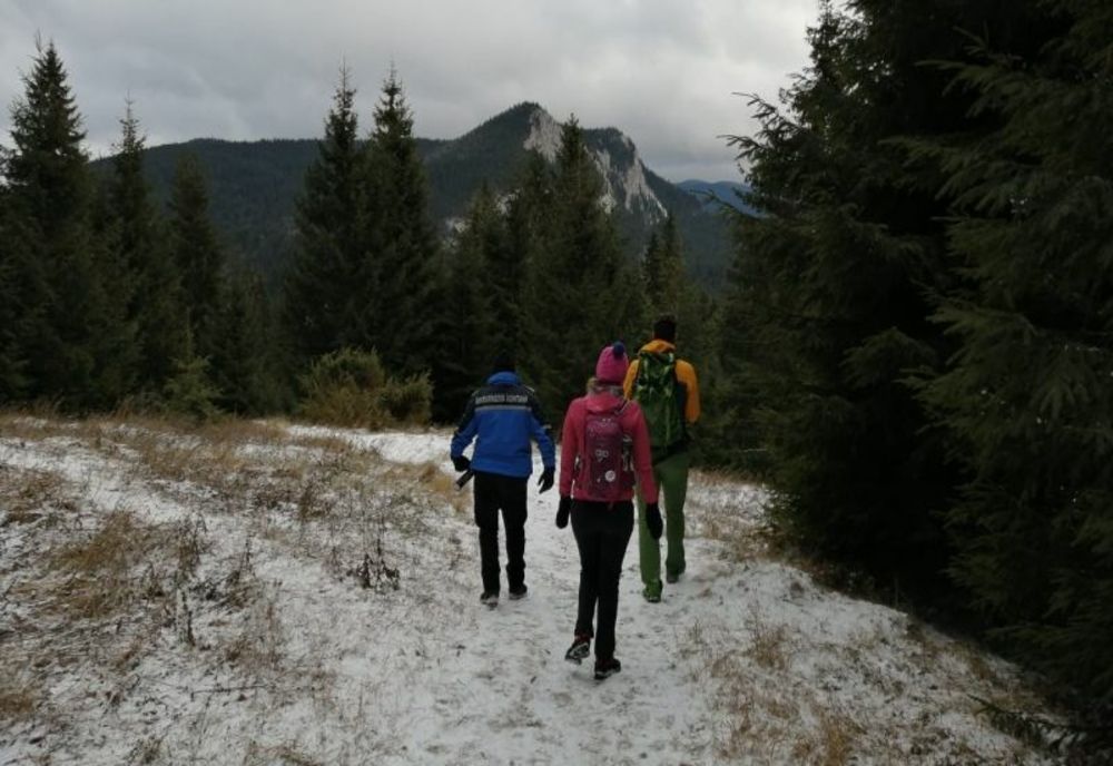 Turiști întorși din drum după ce au văzut pe munte o ursoaică cu pui