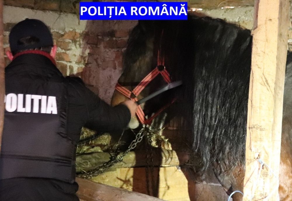 Acțiune de amploare a polițiştilor la deținătorii de animale! Amenzi de peste 10.000 de lei!