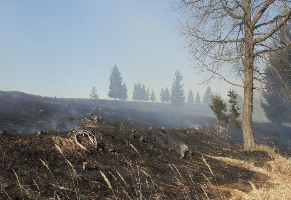 VIDEO 50 de hectare de vegetație uscată afectate de un incendiu!