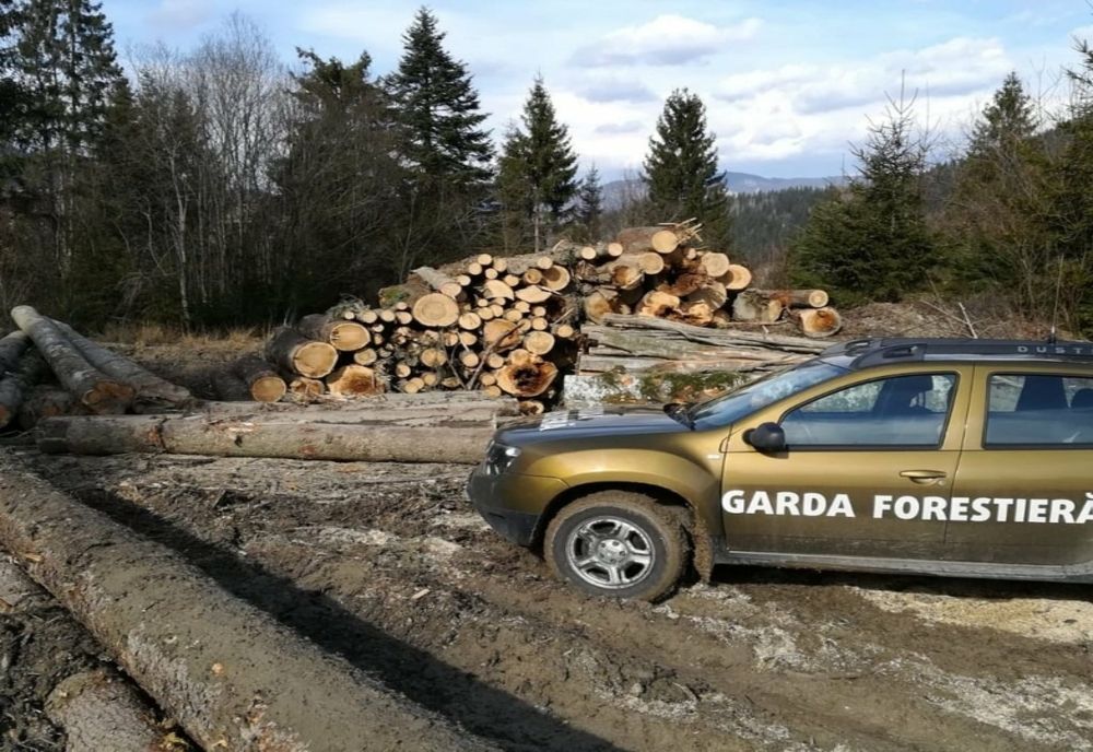 Nereguli grave constatate de Garda Forestieră Brașov! Amenzi de peste 200.000 de lei date în 4 județe!