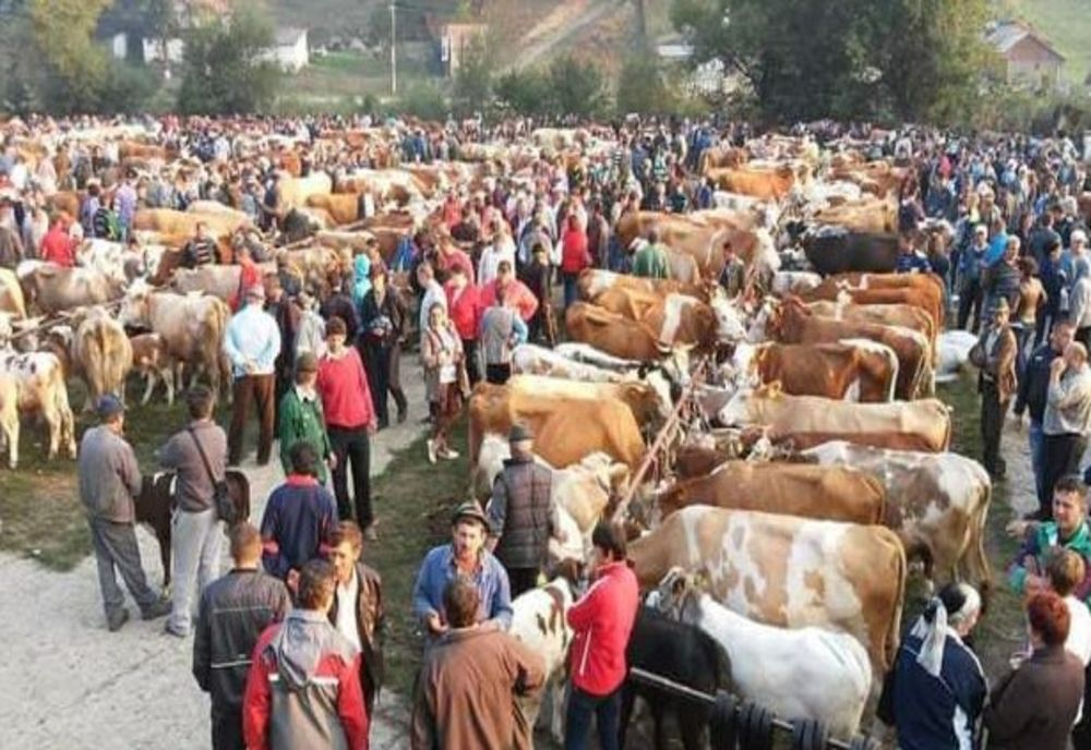Târg de animale, astăzi, la Tulgheș