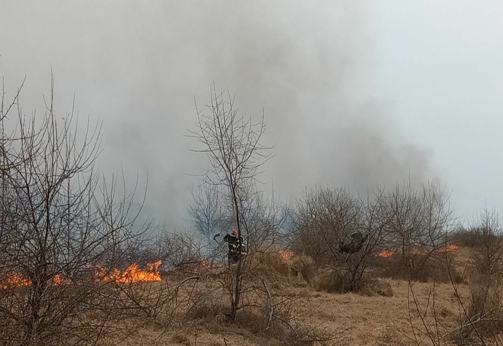 Incendiu de vegetație uscată în municipiul Miercurea Ciuc