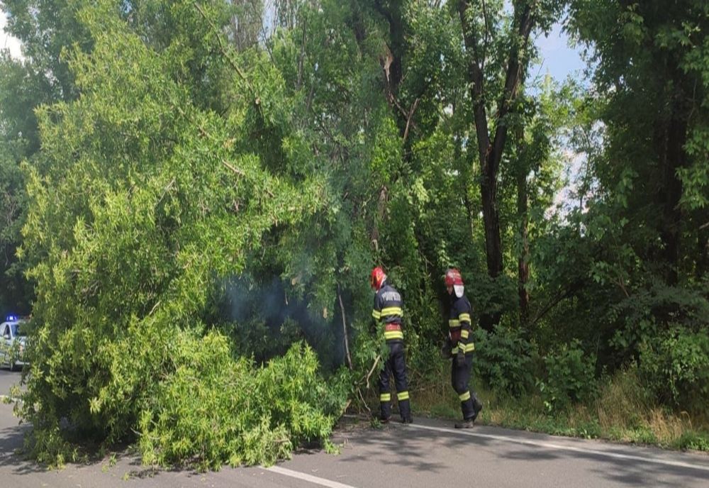 Drum blocat din cauza unui copac căzut pe carosabil