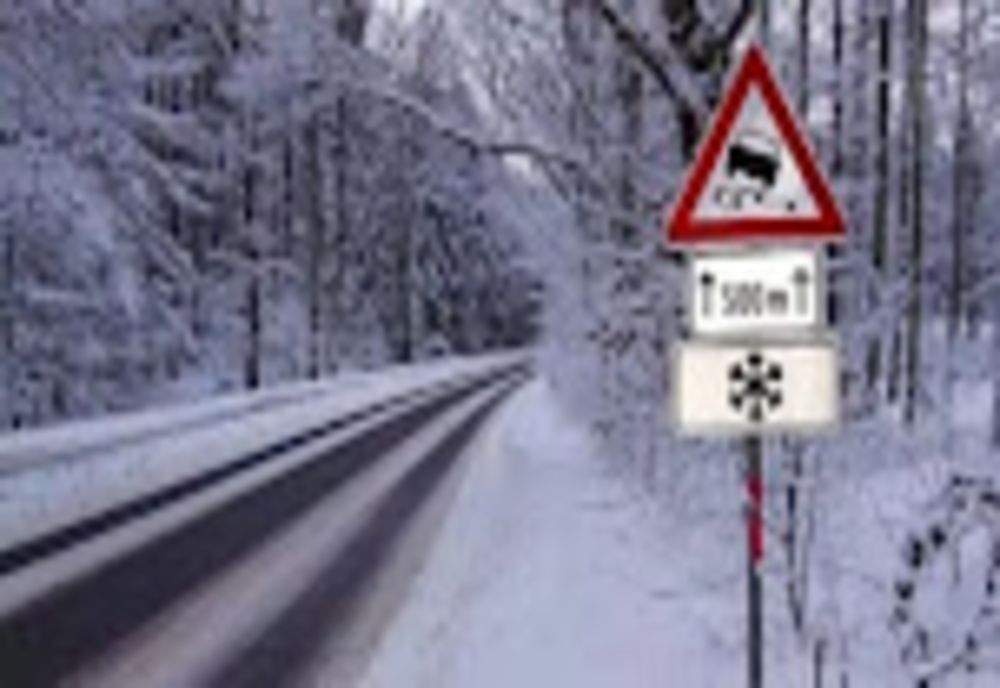 Prognoza meteo 30 noiembrie. Ninsori puternice la munte