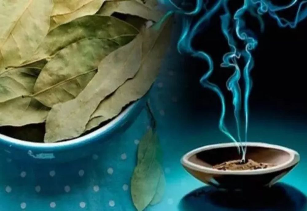 A pus o foaie de dafin în scrumieră și i-a dat foc. Când s-a întors în cameră, a urmat șocul