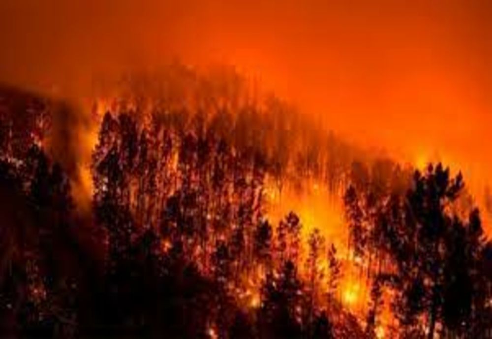  Sprijin financiar pentru refacerea potențialului forestier afectat de incendii, de fenomene meteorologice nefavorabile