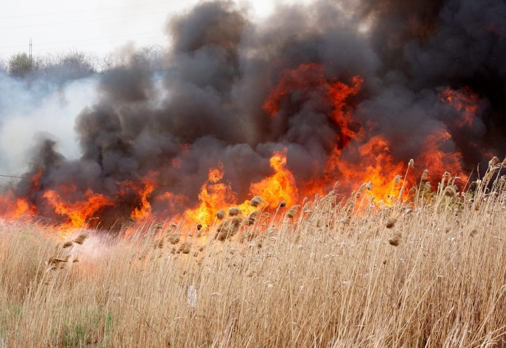 Trei incendii de vegetație uscată stinse de pompierii harghiteni, în ultimele 24 de ore