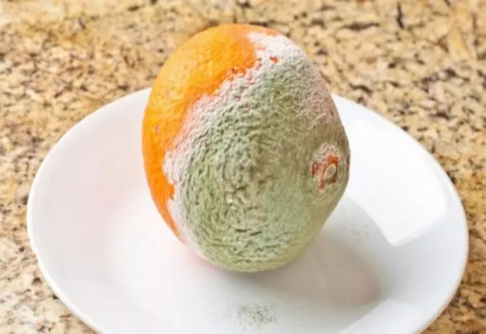 Şi tu tai partea mucegăită din fruct şi consumi restul? Cât de SIGUR este acest obicei