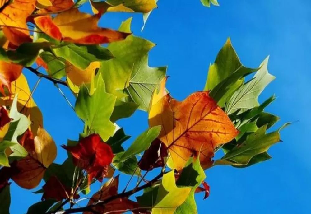 Vremea 18 octombrie - Se schimbă vremea brusc