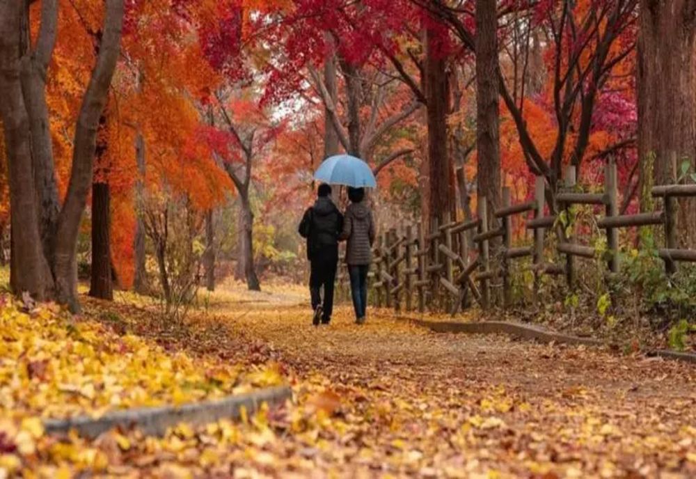 Toamnă cu temperaturi ridicate și aspect plăcut, în majoritatea regiunilor țării. Prognoza ANM pentru următoarele 4 săptămâni