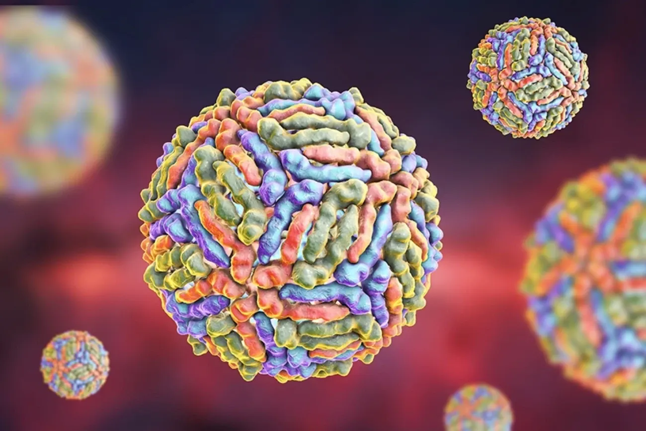 INSP: Un singur caz de infecție cu virusul West Nile, confirmat în Harghita în 2026