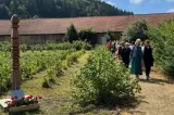 Harghita: Zilele Plantelor Medicinale din Ținutul Secuiesc, în weekend, la Șumuleu Ciuc