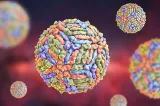 INSP: Un singur caz de infecție cu virusul West Nile, confirmat în Harghita în 2026