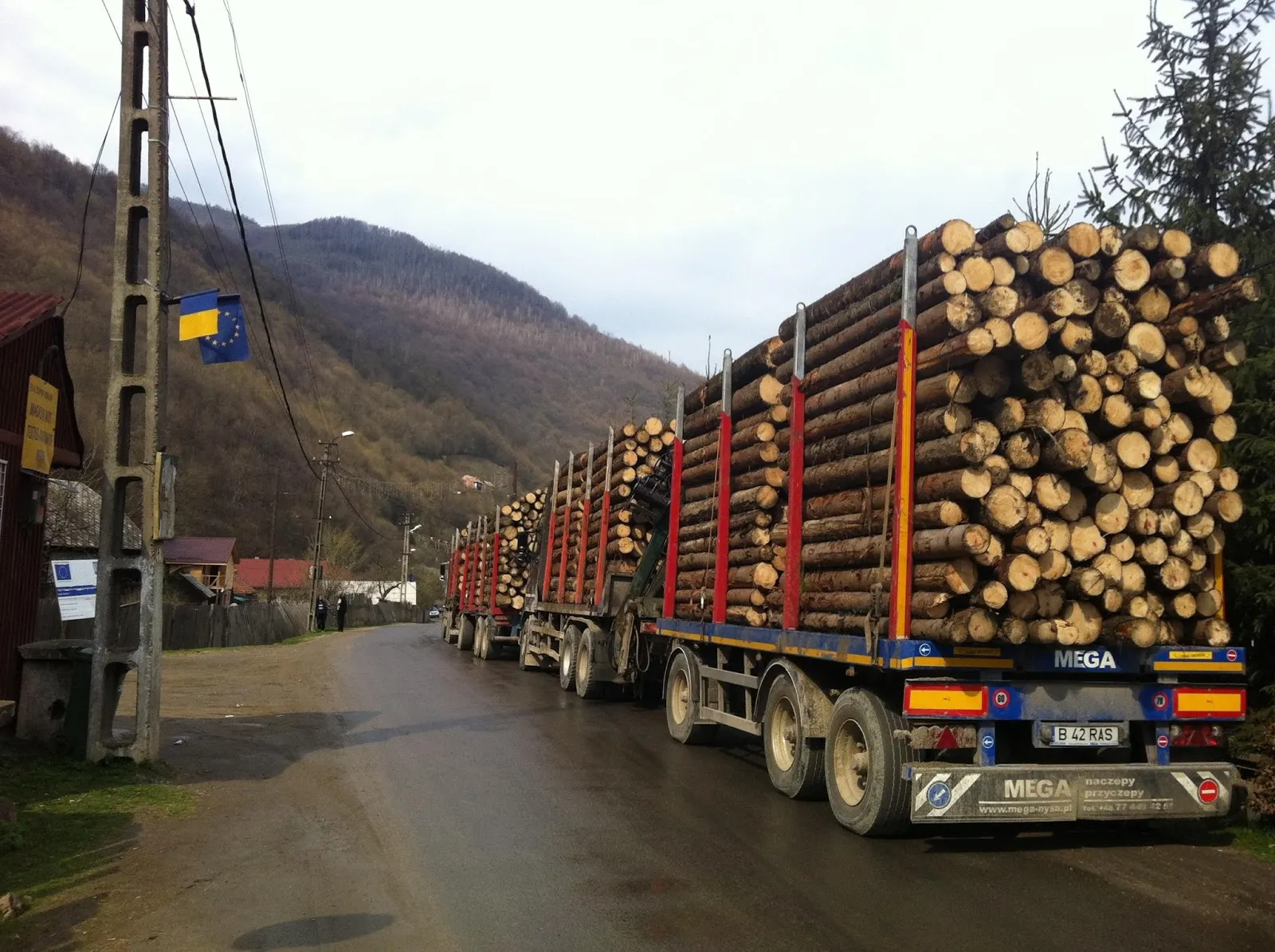 camion-cu-lemne