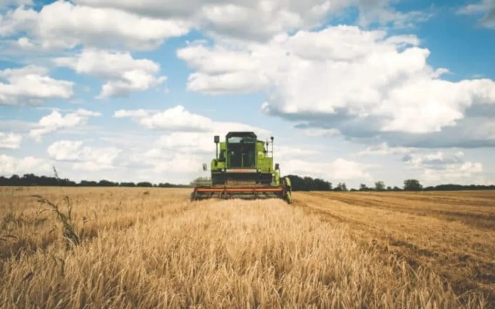 Ministerul Agriculturii din Ungaria finanţează consilierea fermierilor din Harghita, Covasna şi Mureş