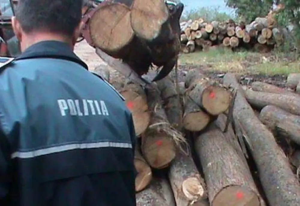 Furt de lemne și mașină răsturnată: amenzi totale de 9.000 lei aplicate de polițiștii harghiteni 