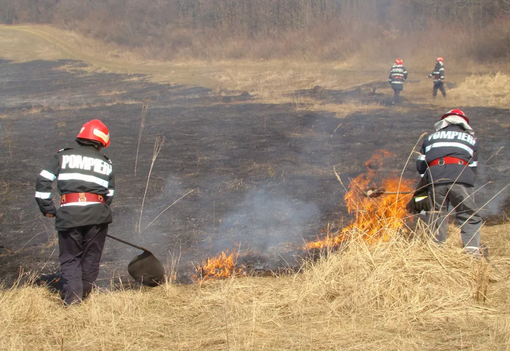 Incendii de vegetație uscată în Feliceni și Miercurea Ciuc