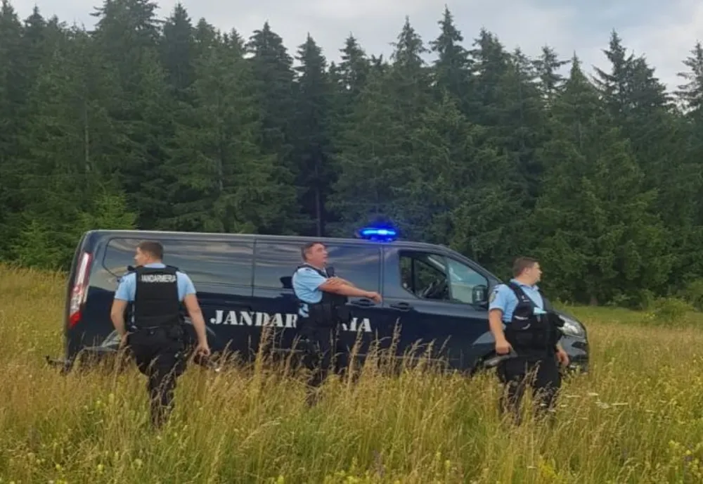 VIDEO 4 apeluri în 24 de ore, pentru îndepărtarea urșilor, în județul Harghita