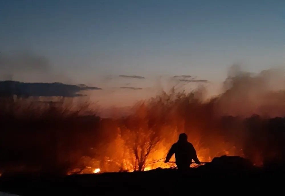 Peste 50 de intervenții ale pompierilor pentru stingerea incendiilor de vegetație uscată