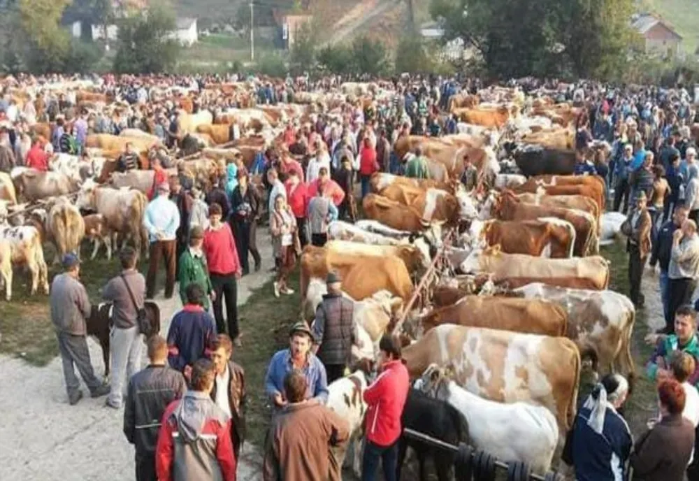 Târg de animale, astăzi, la Tulgheș
