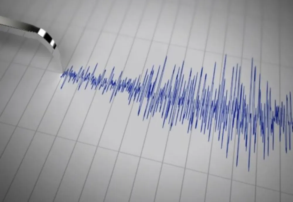 Cutremur semnificativ în zona Vrancea - Ce magnitudine a avut seismul și unde s-a resimțit