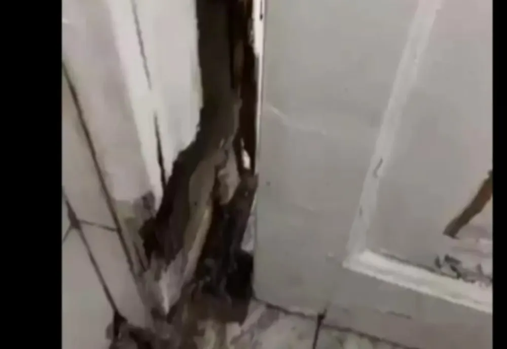 Șobolani pe holurile Academiei de Poliție! Imagini șocante - VIDEO