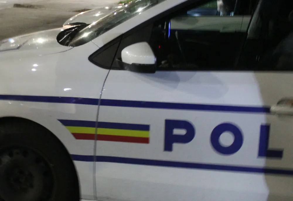 Persoanele bănuite de distrugerea a peste 20 de tablouri expuse în parcul municipal Odorhei au fost prinse