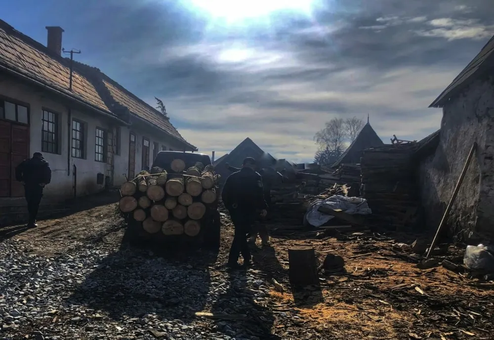Jandarmii harghiteni au aplicat în primele 3 luni ale anului amenzi în valoare de 52.000 de lei la regimul silvic