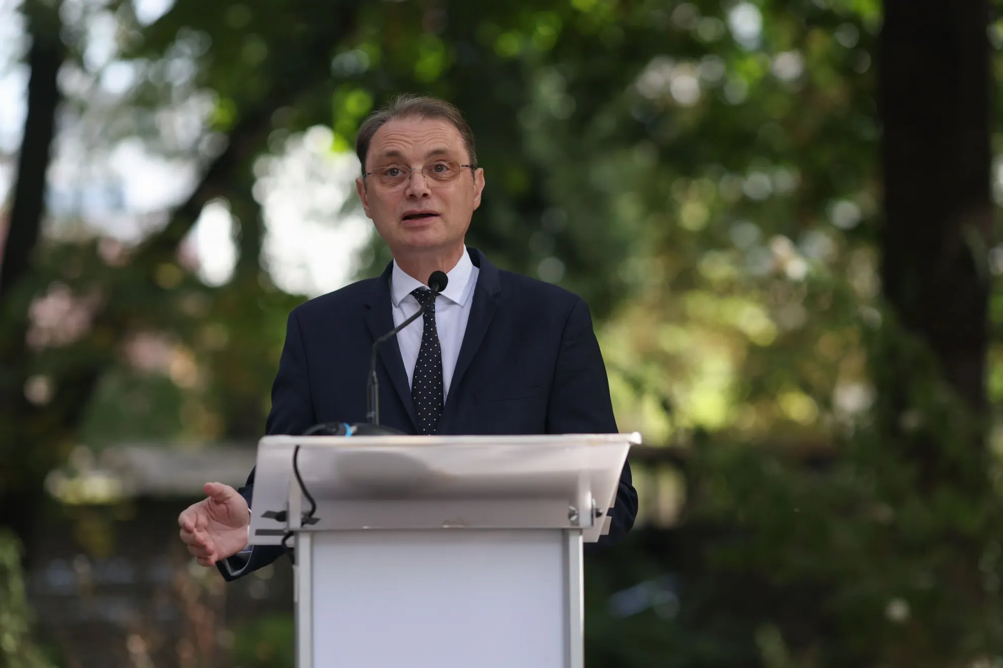 Planurile Guvernului Niculescu / INQUAM PHOTO