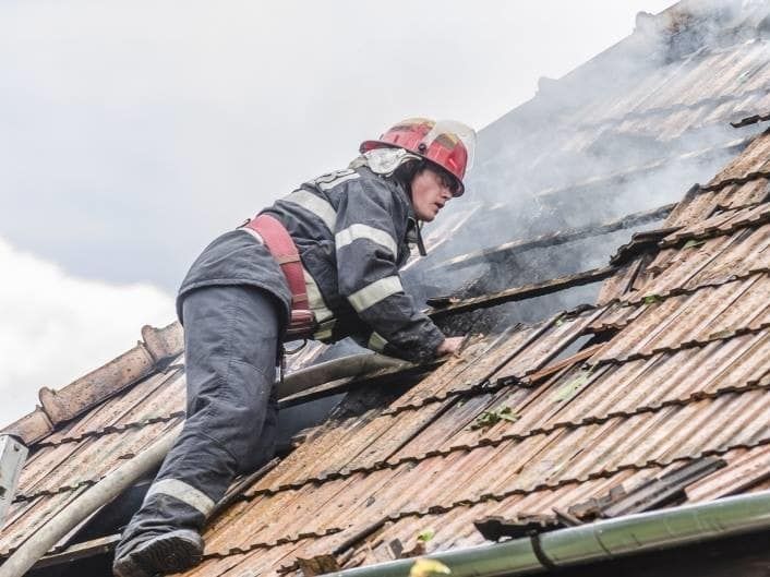 51713678_1230774350409848_2213830709355741184_n