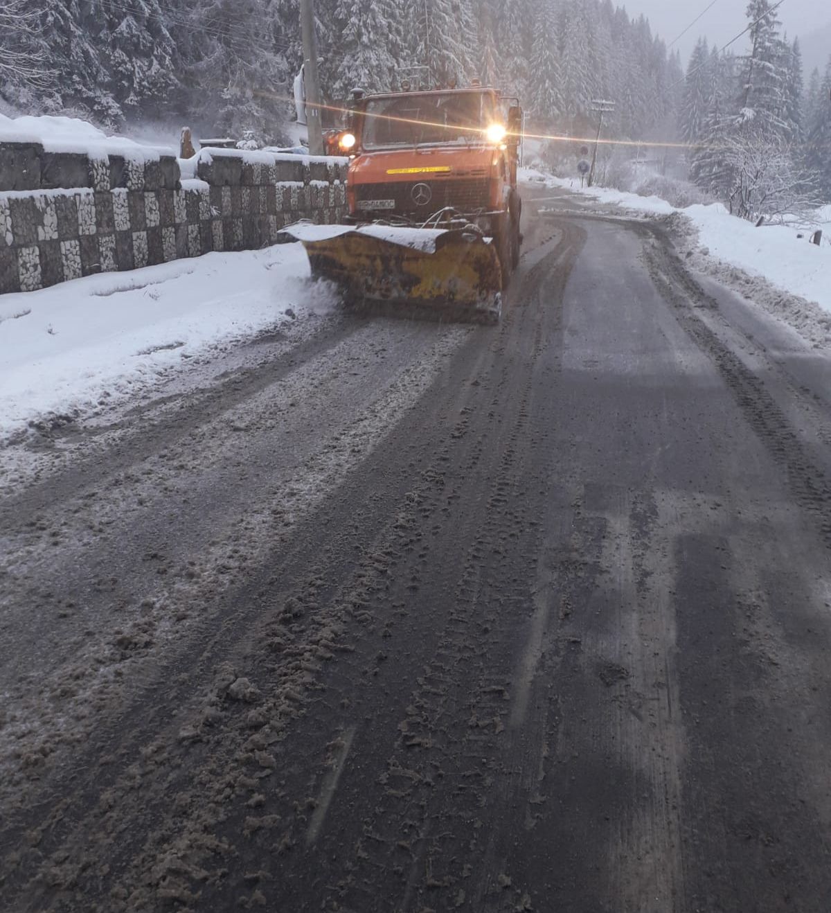 WhatsApp Image 2019-02-12 at 08.07.22