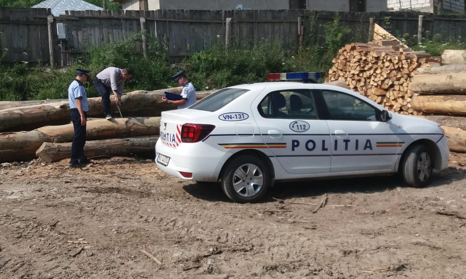 politie-lemne-1