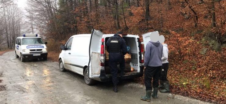 transport-lemne-740x340