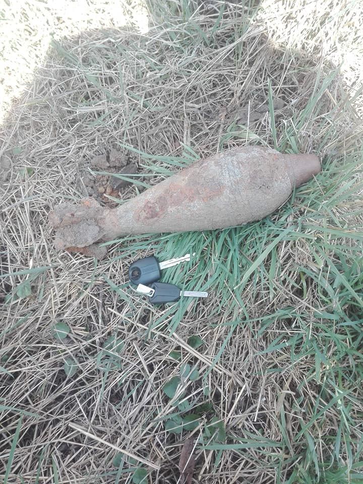 54516816_1255943947892888_3986664269931347968_n