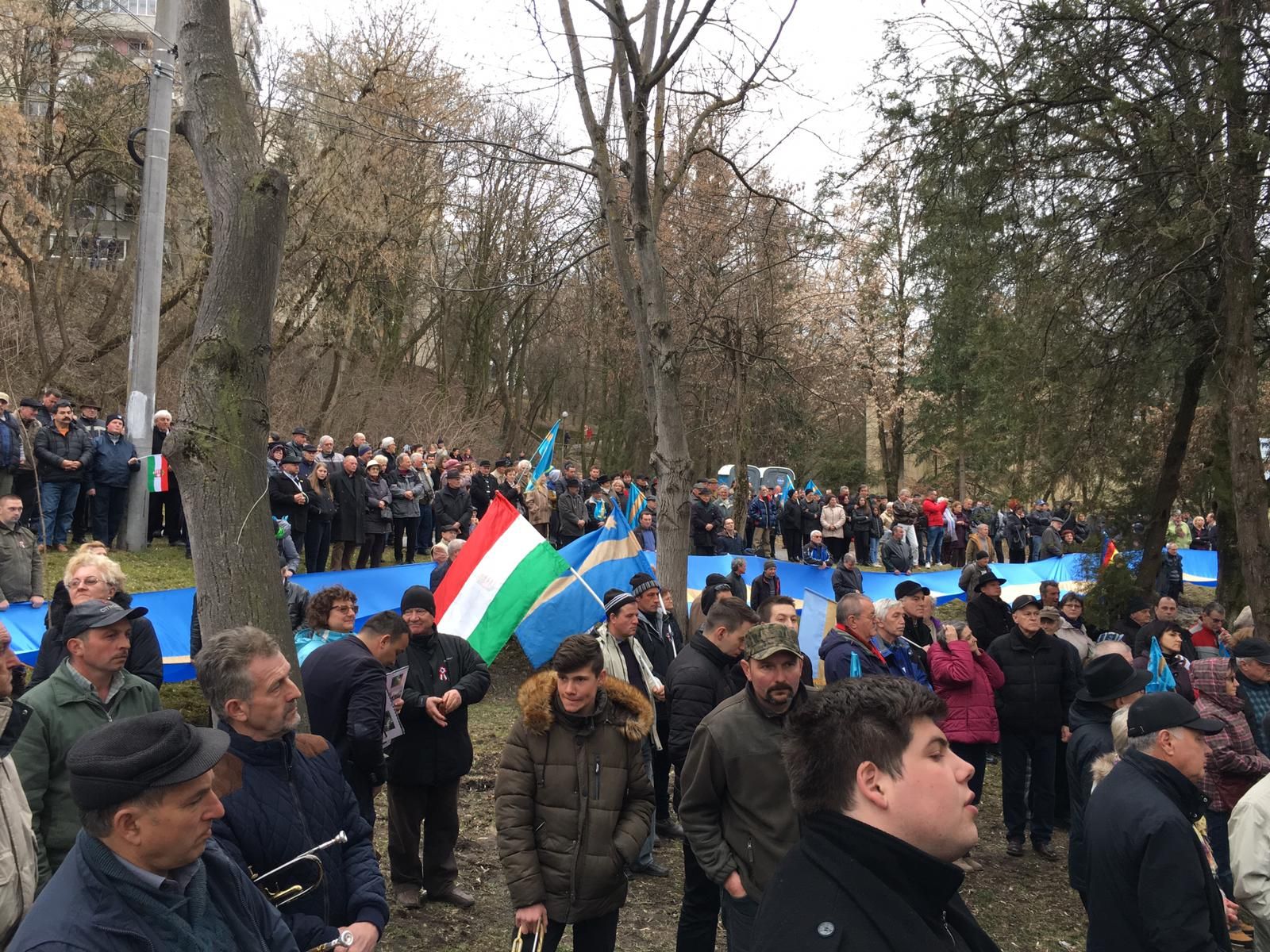 WhatsApp-Image-2019-03-10-at-19.48.26