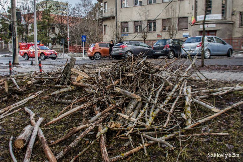 b_letortfaag-csikszereda-pnt-4