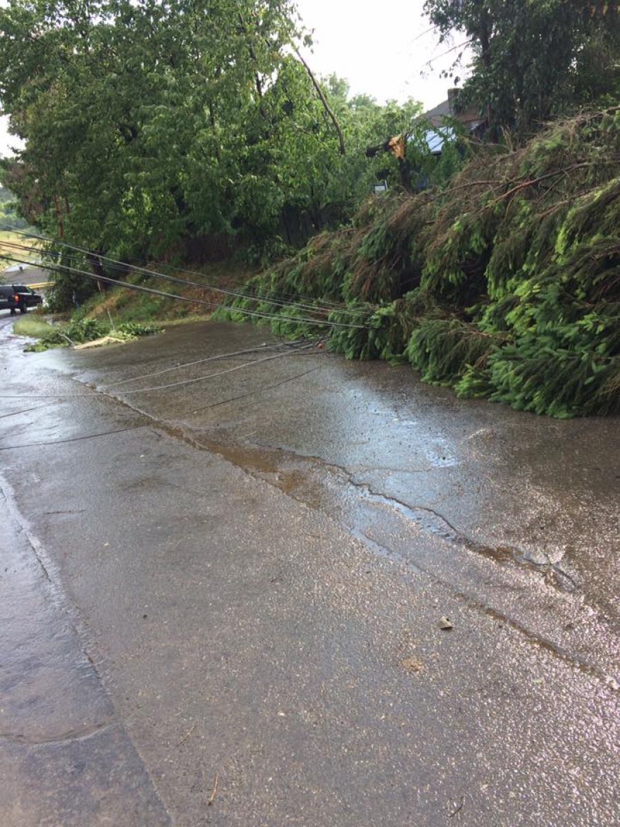 11-prapad-in-judet-dupa-furtuna-copaci-si-cabluri-electrice-rupte-acoperisuri-zburate-de-pe-case-galerie-foto