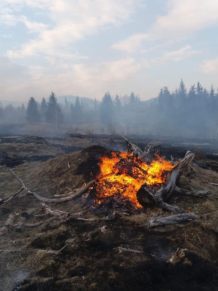 56800842_1265070953646854_4941982098845073408_n