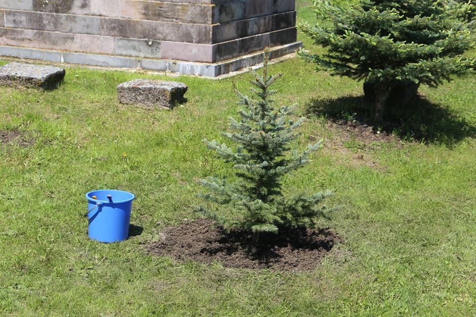 61100356_2832541433467415_1820528961944289280_n