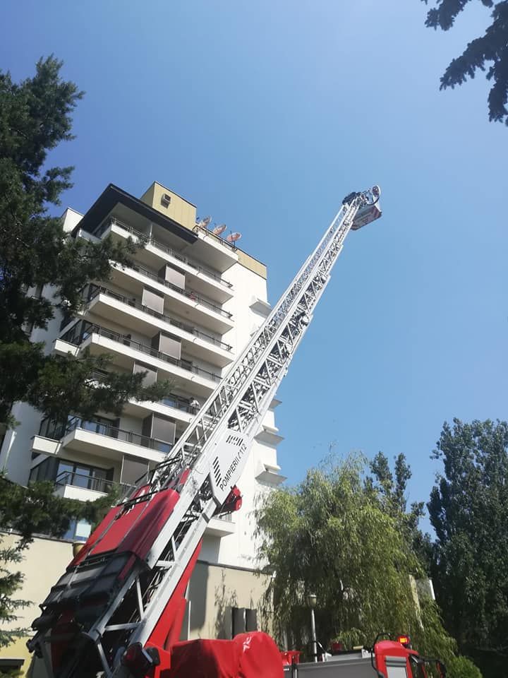 65484826_1325162464304369_7910537307701116928_n