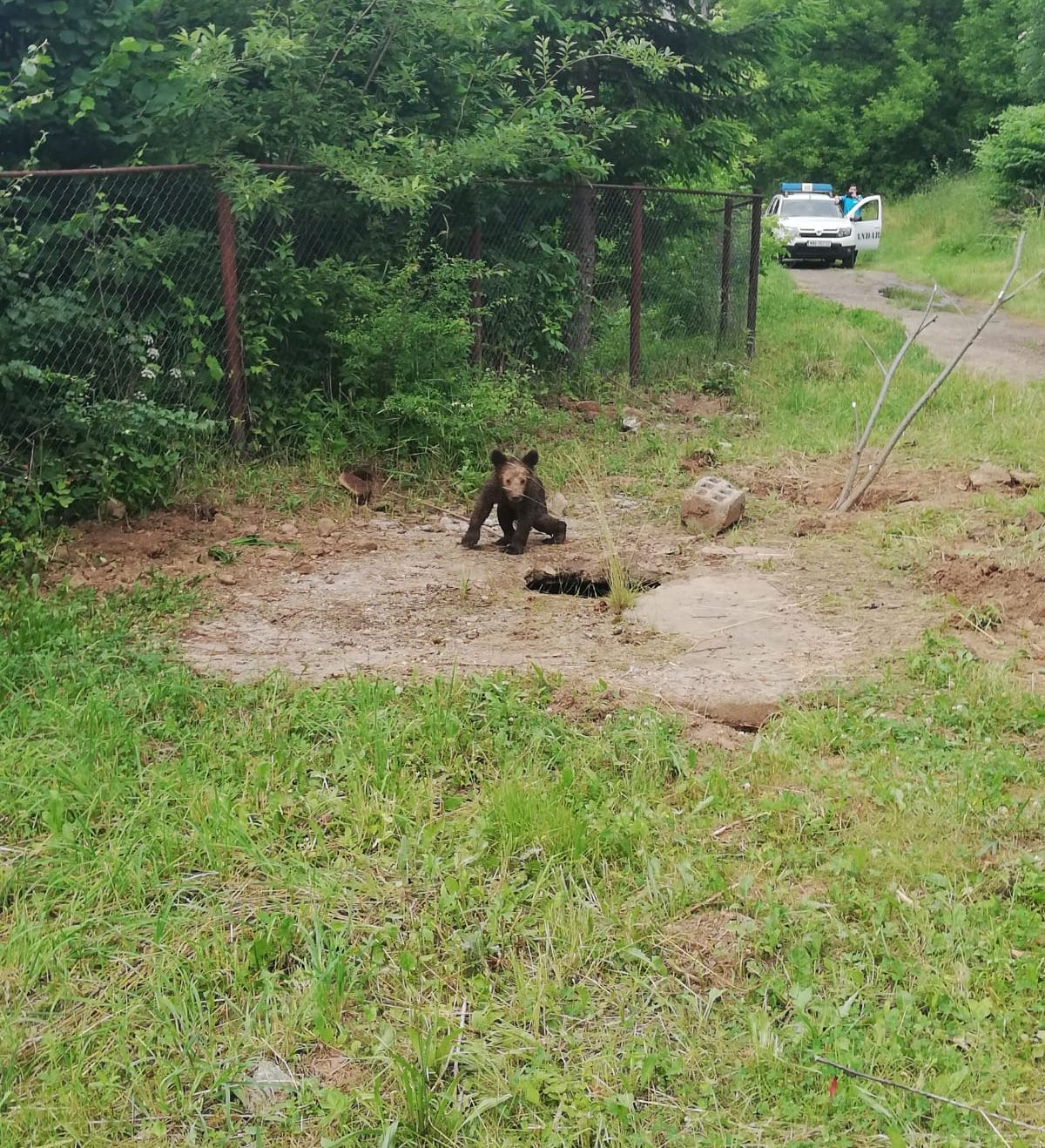 WhatsApp Image 2019-06-20 at 18.56.26