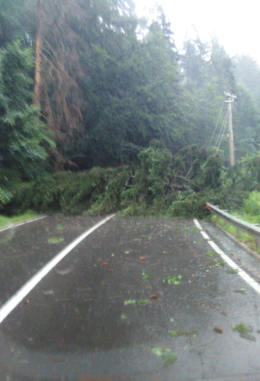 WhatsApp Image 2019-07-03 at 12.07.11