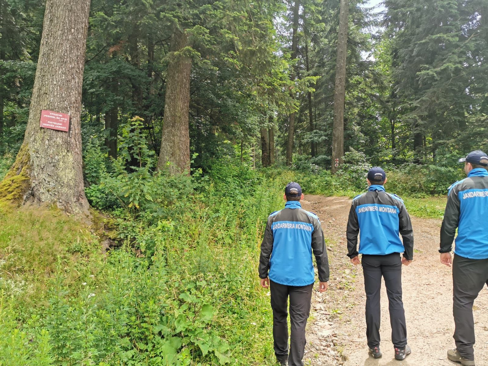 WhatsApp Image 2019-07-11 at 13.46.16